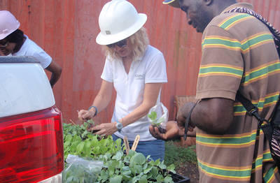 Good Health Grows Again